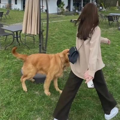 温情公寓