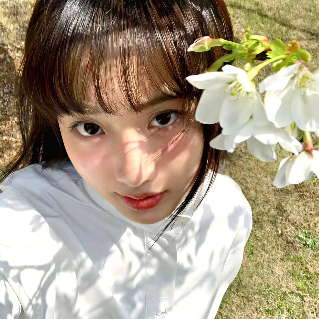 宝瓶奇谋